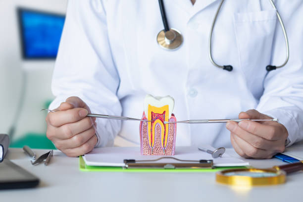 Best Emergency Root Canal Treatment in Huntertown, IN